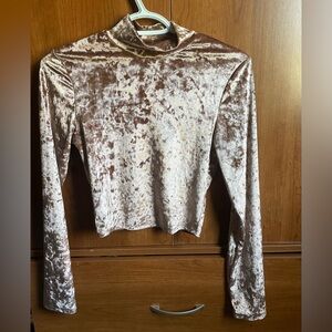 Bozzolo Shimmering Velvet Long Sleeve Blouse in Beige
